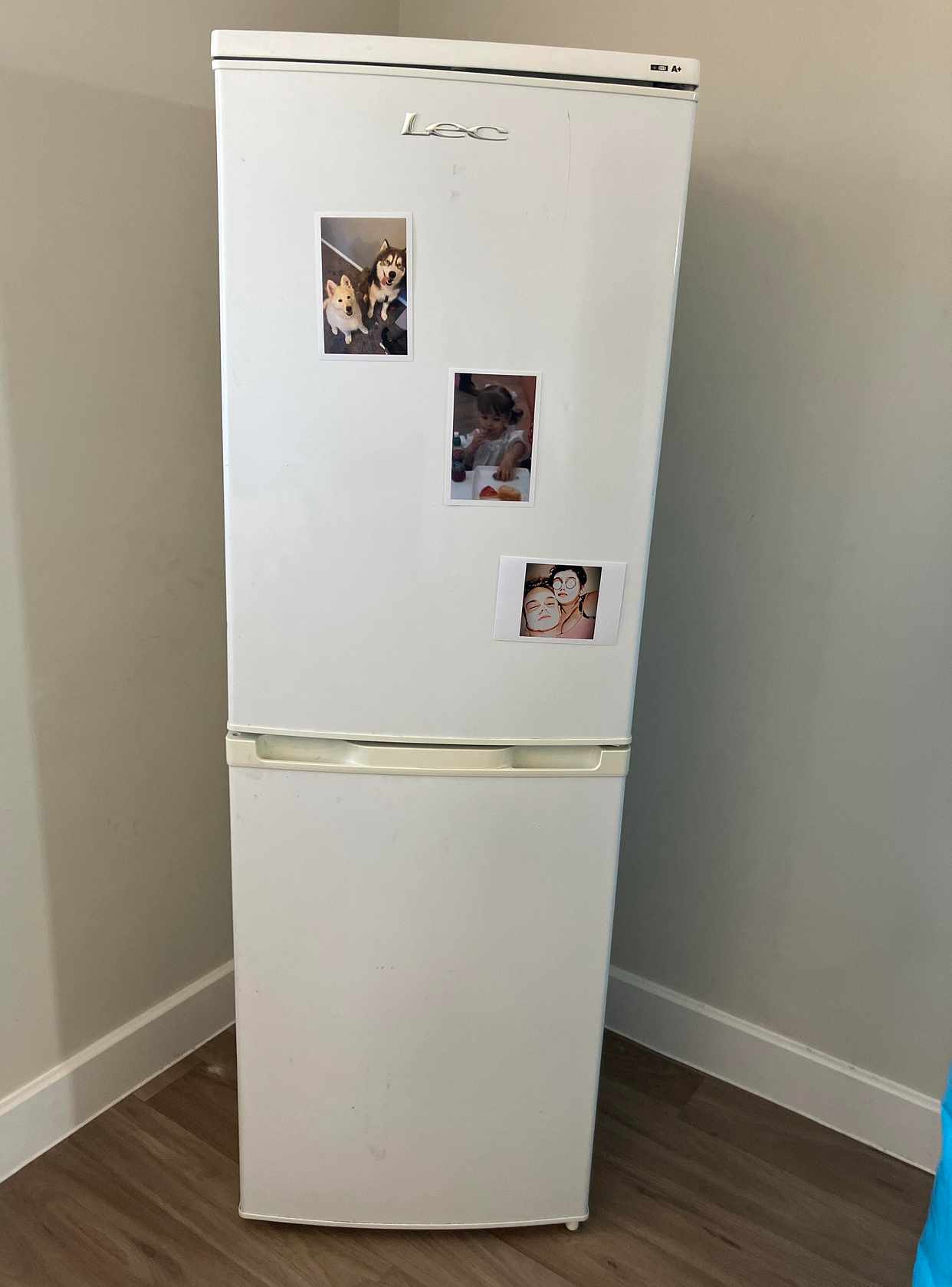 Removing a fridge freezer Maidstone Tiptapp