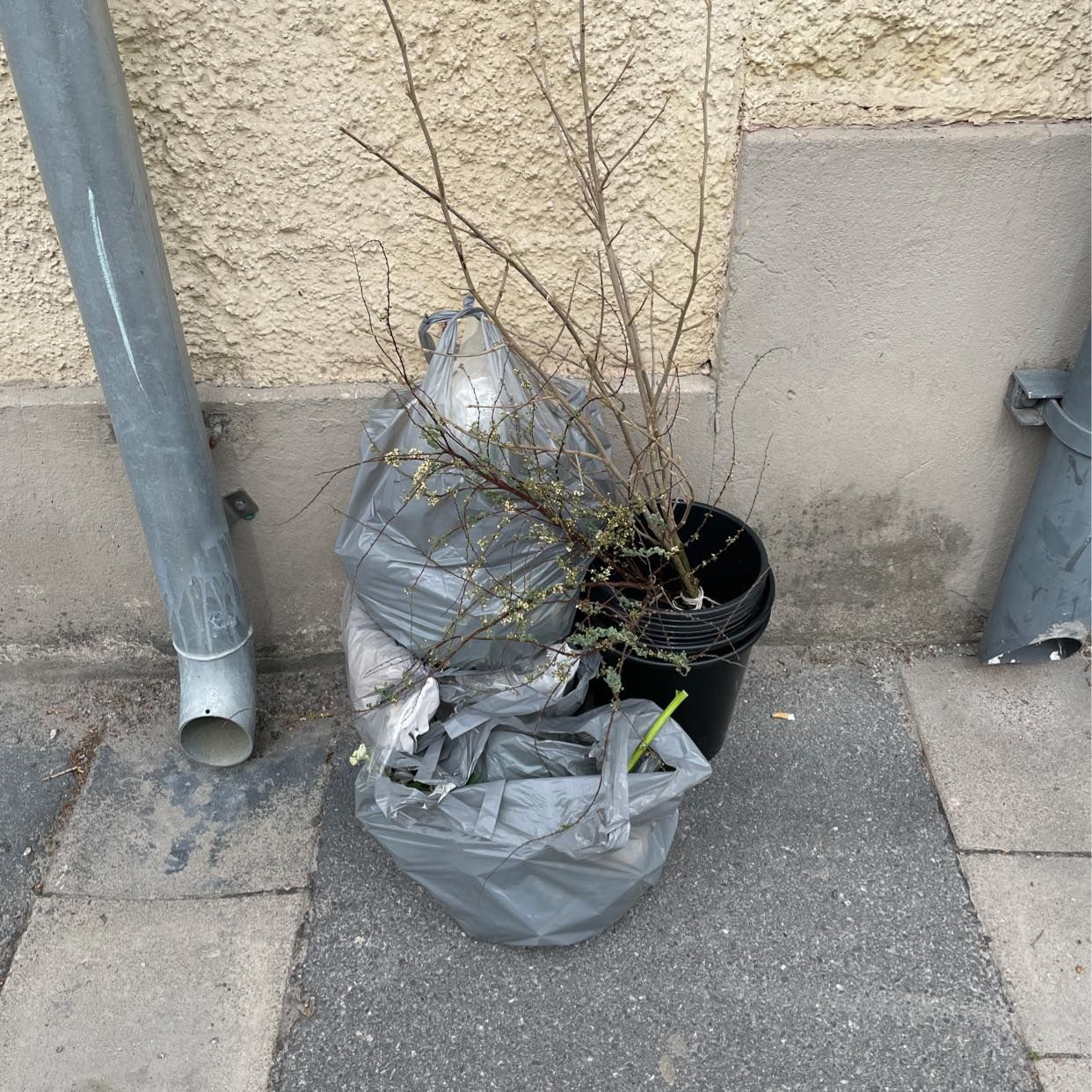 image of Garden waste plastic - Hägersten