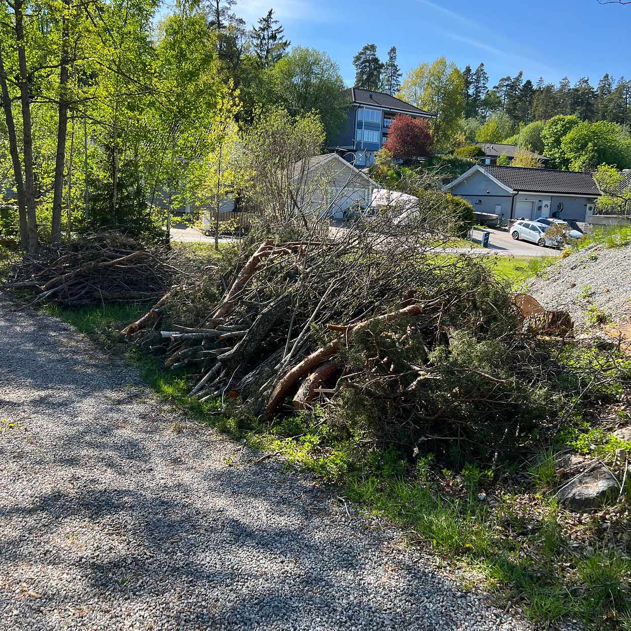 image of Forsla bort ris - Rönninge