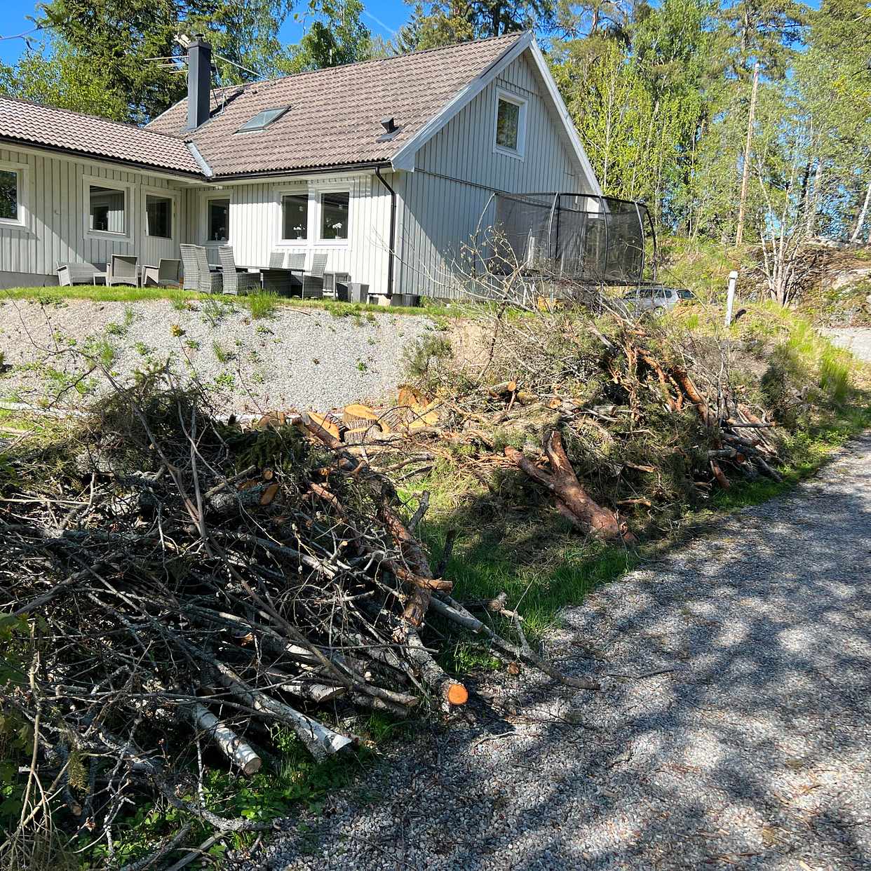 image of Forsla bort ris - Rönninge