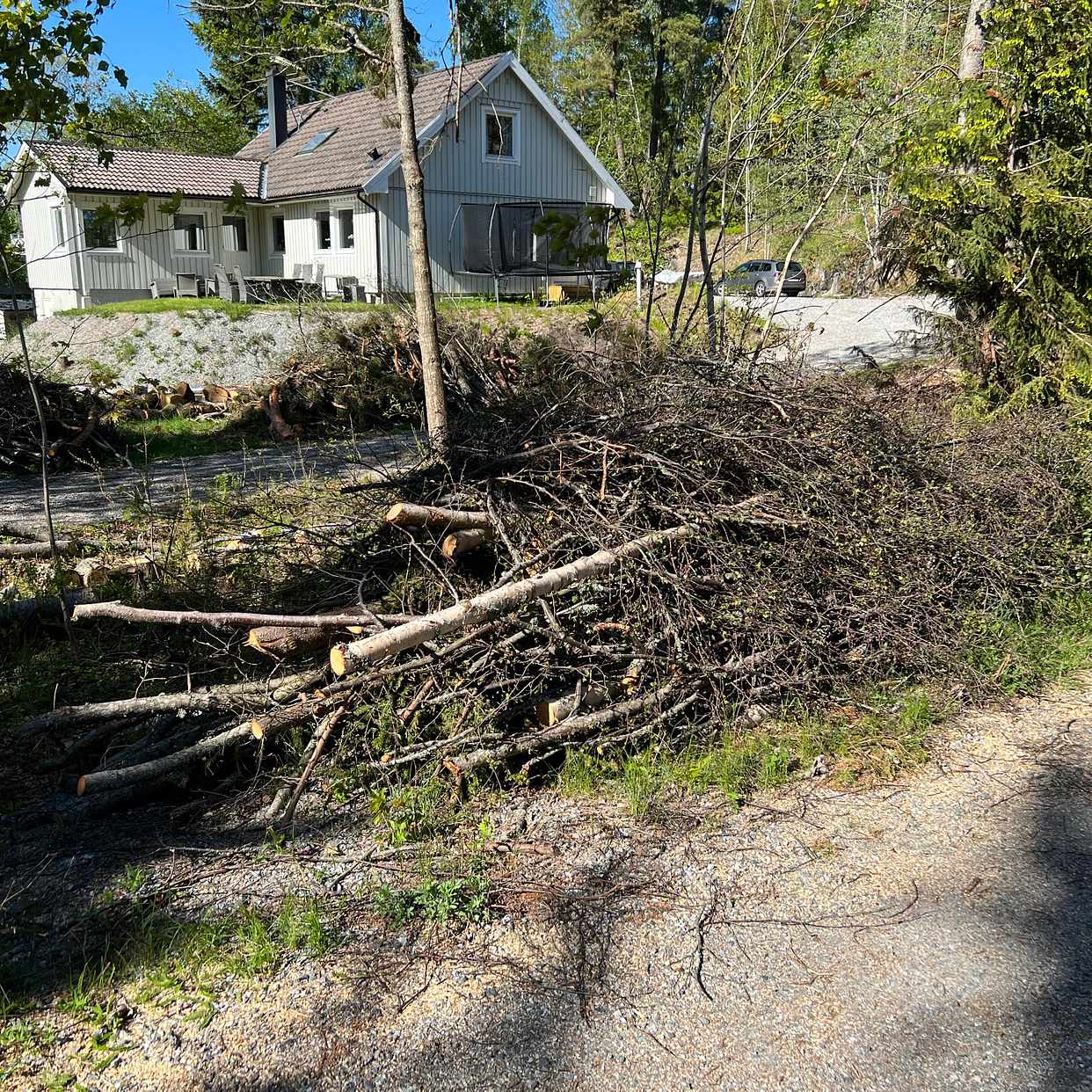 image of Forsla bort ris - Rönninge