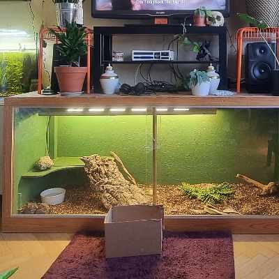 image of Terrarium  - 