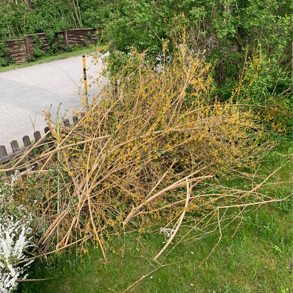 image of Bortforsling utan trä - Vallentuna