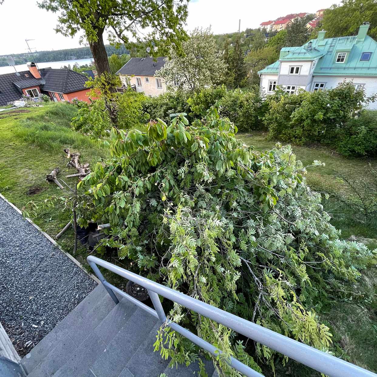 image of Trädgårdsavfall - Hägersten