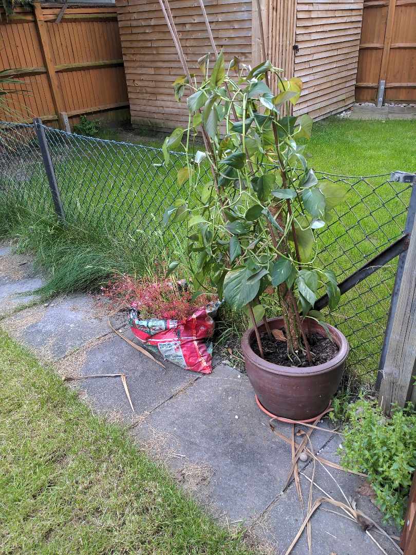 Garden waste and garbage Bromley Tiptapp