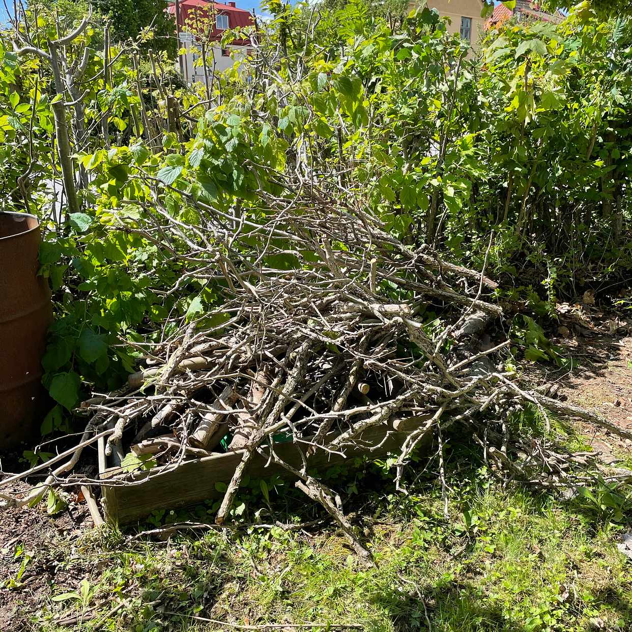 image of Grenar och ris med TAGGAR - Enskede