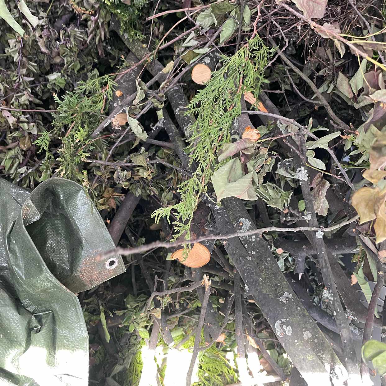 image of Garden waste - Lidingö