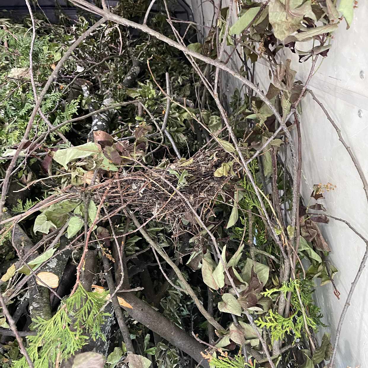 image of Garden waste - Lidingö