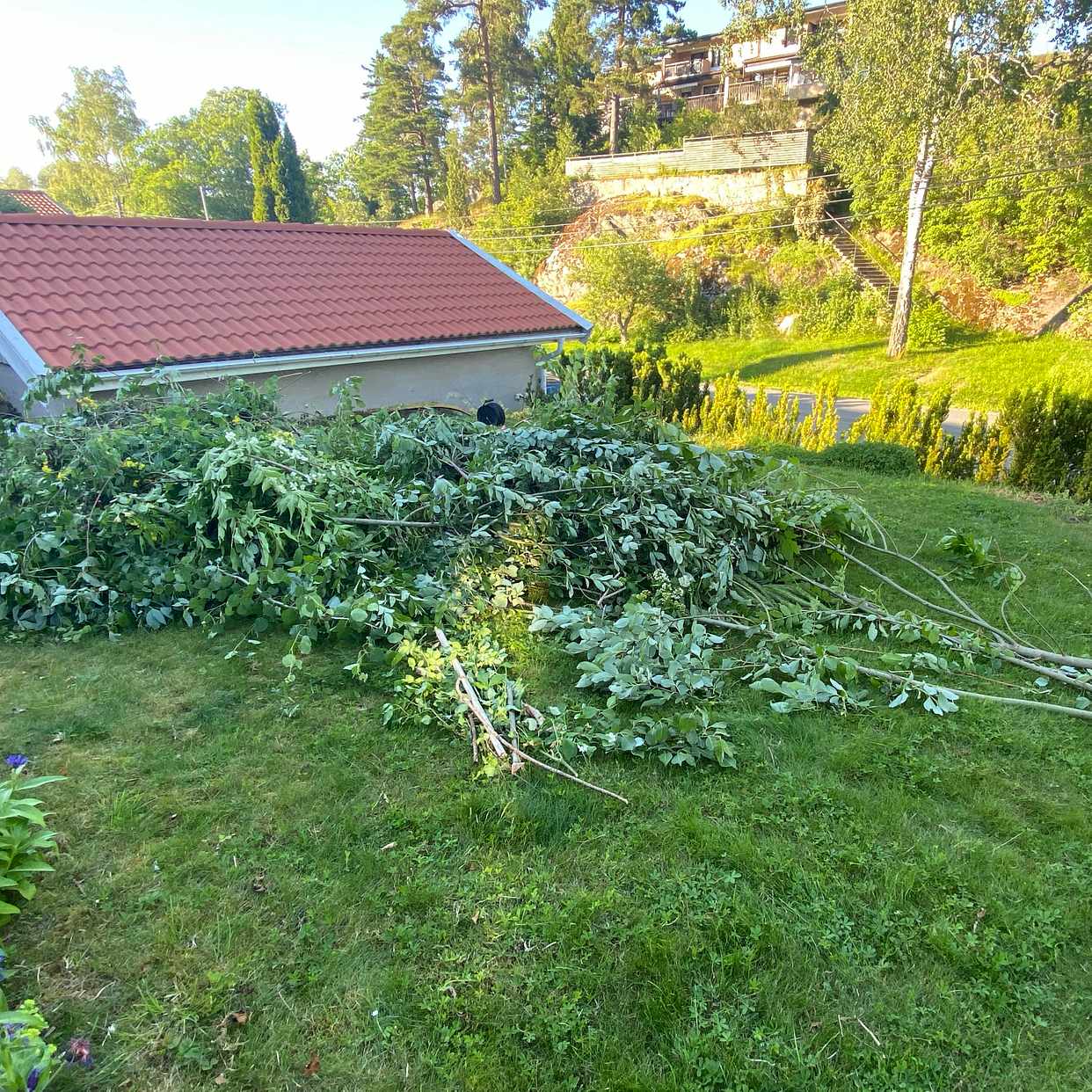 image of grenar till tippen - Huddinge