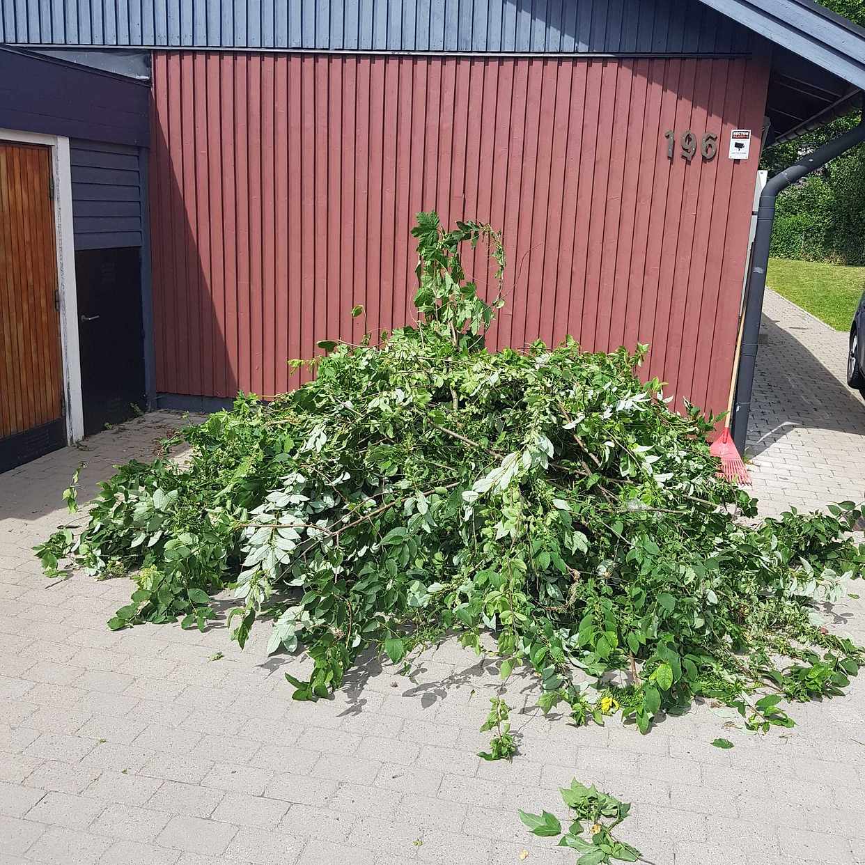 image of Kvistar och löv - Bromma