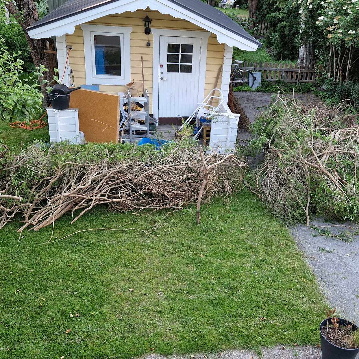 image of Ris / häck - Enskede