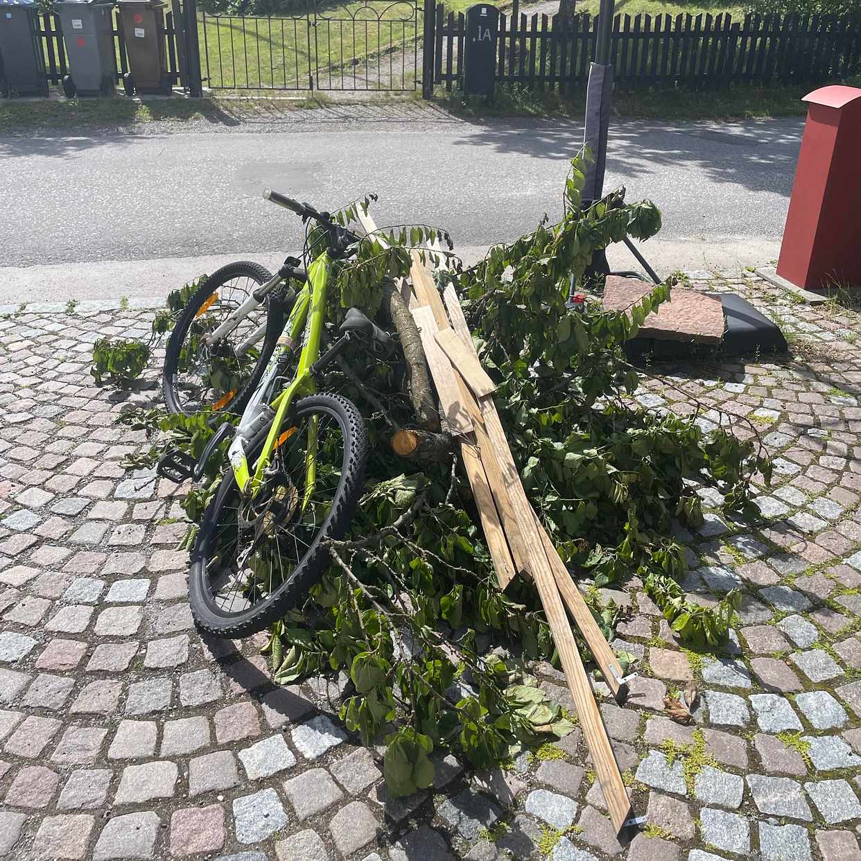 image of Grenar, trä och cykel - Enebyberg