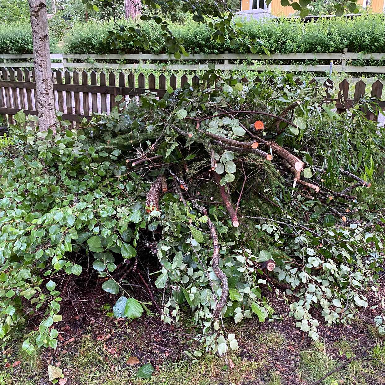 image of Trädgårdsavfall - Haninge