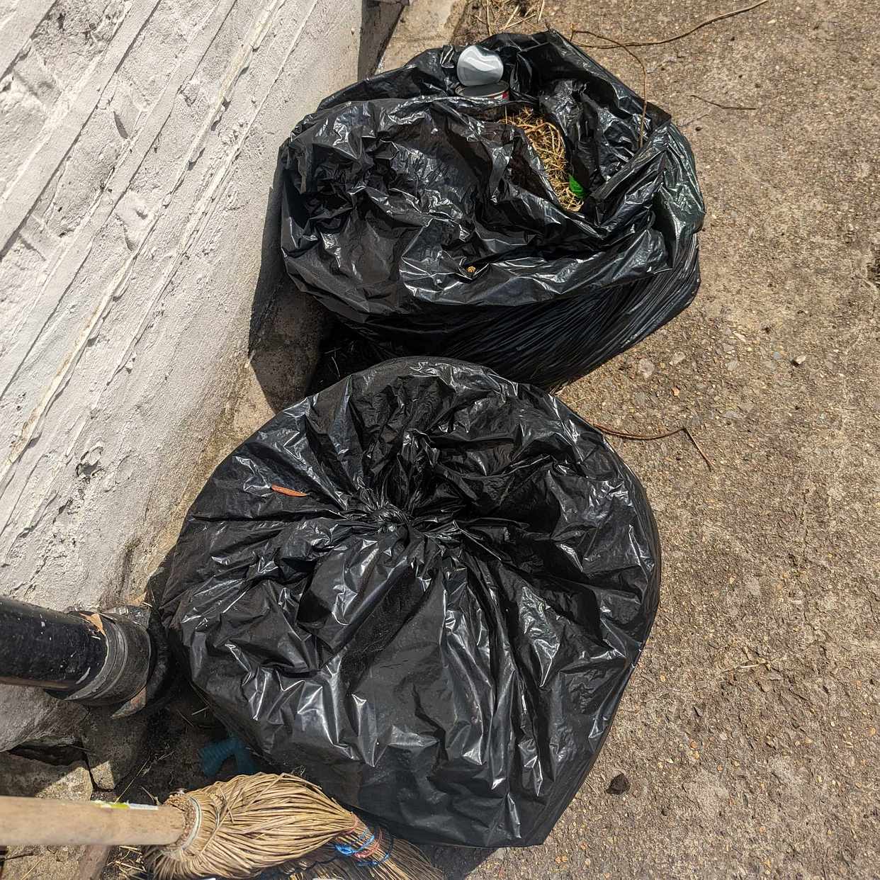 image of Various garden waste - London