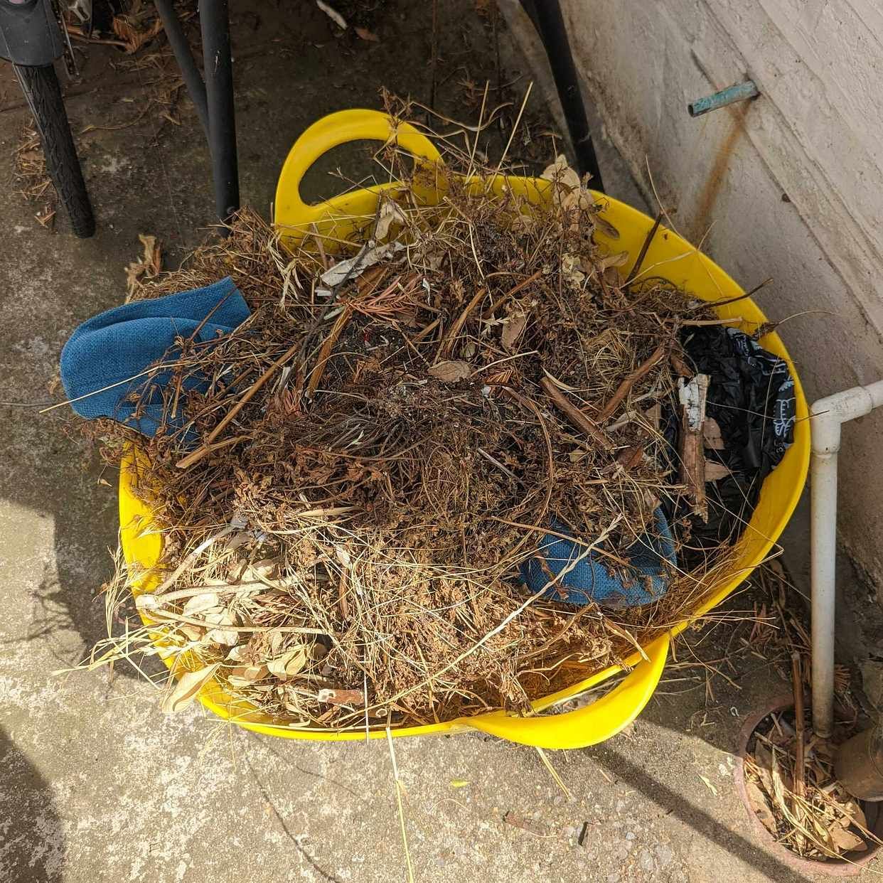 image of Various garden waste - London