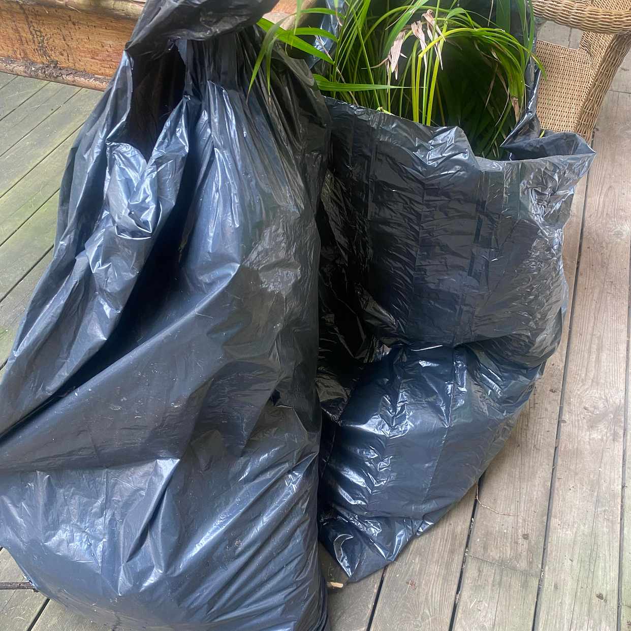 image of Garden waste - Stockholm