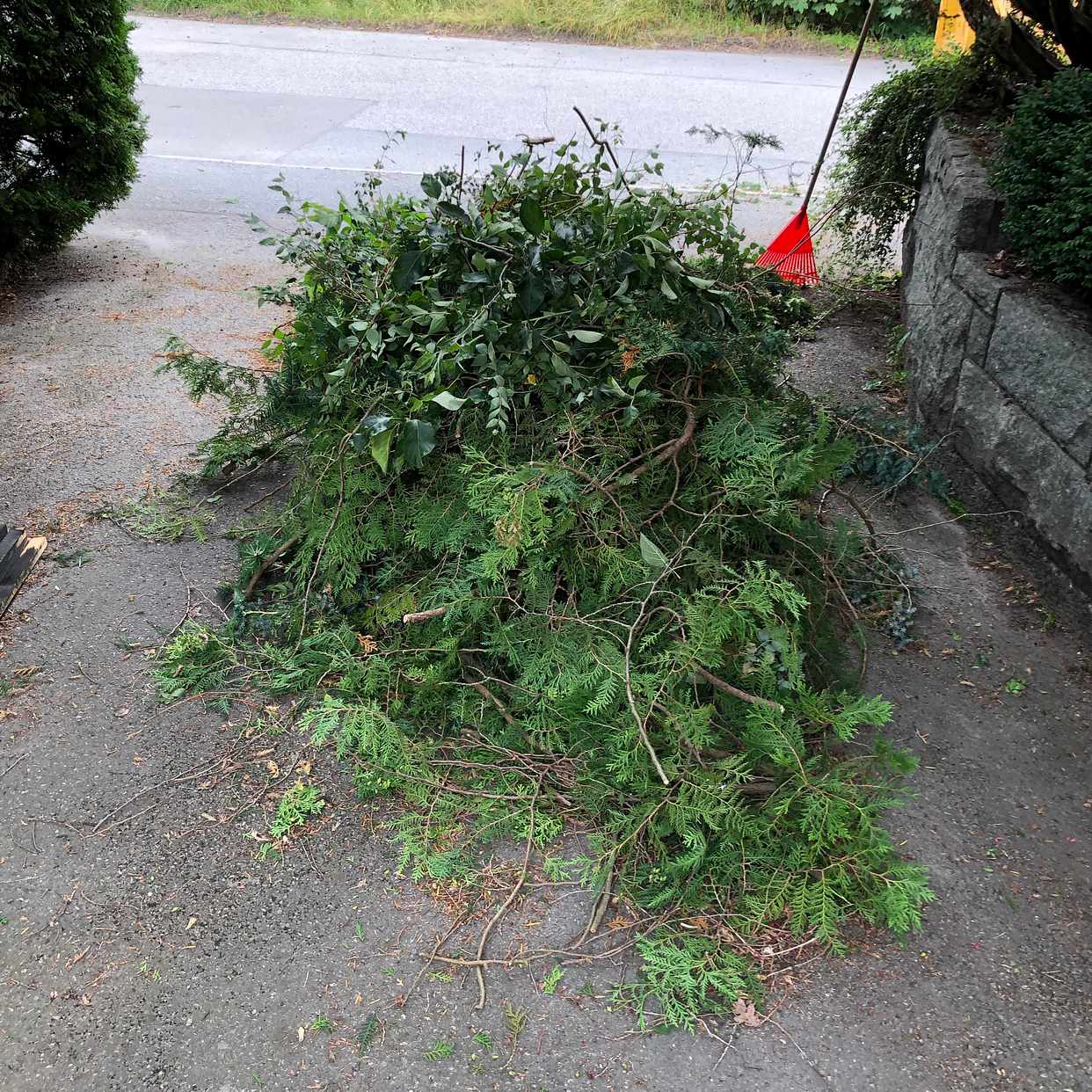 image of Grenar och kvistar - Älvsjö