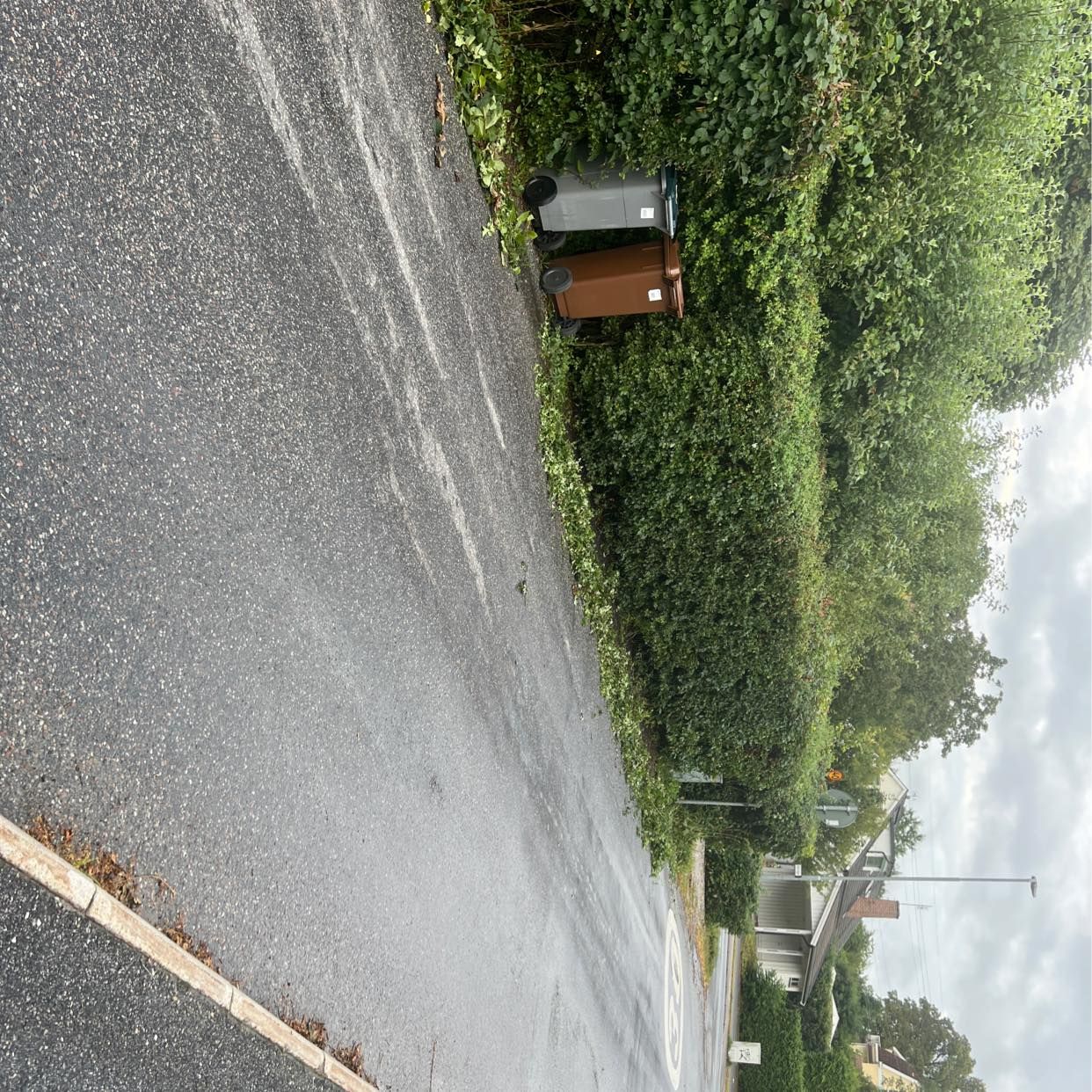 image of Ta bort grenar - Djursholm