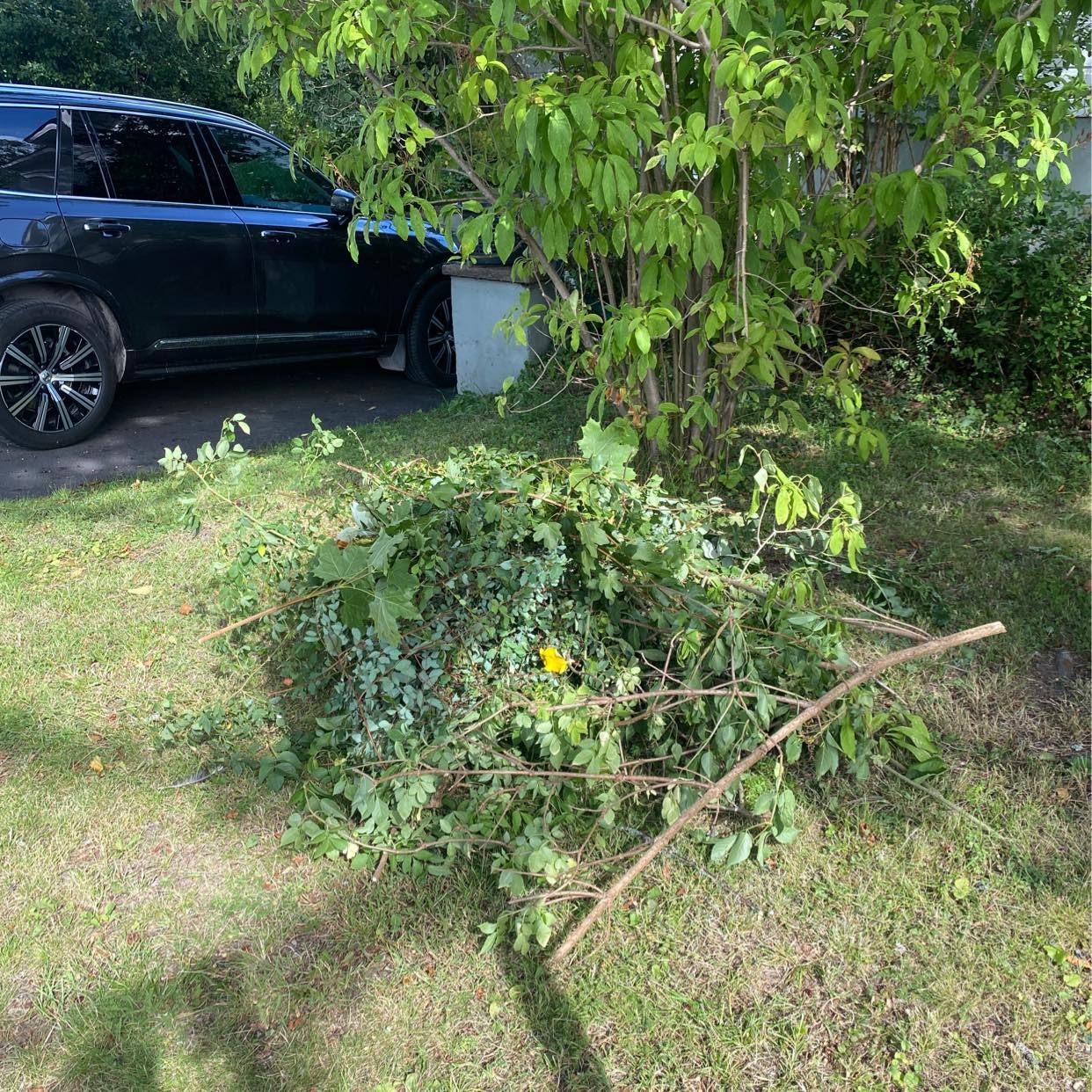 image of 2 piles yard waste - Bromma