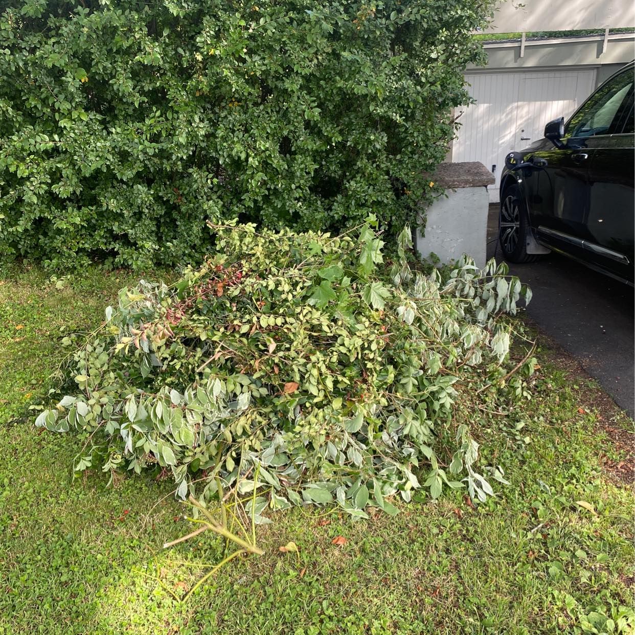 image of 2 piles yard waste - Bromma