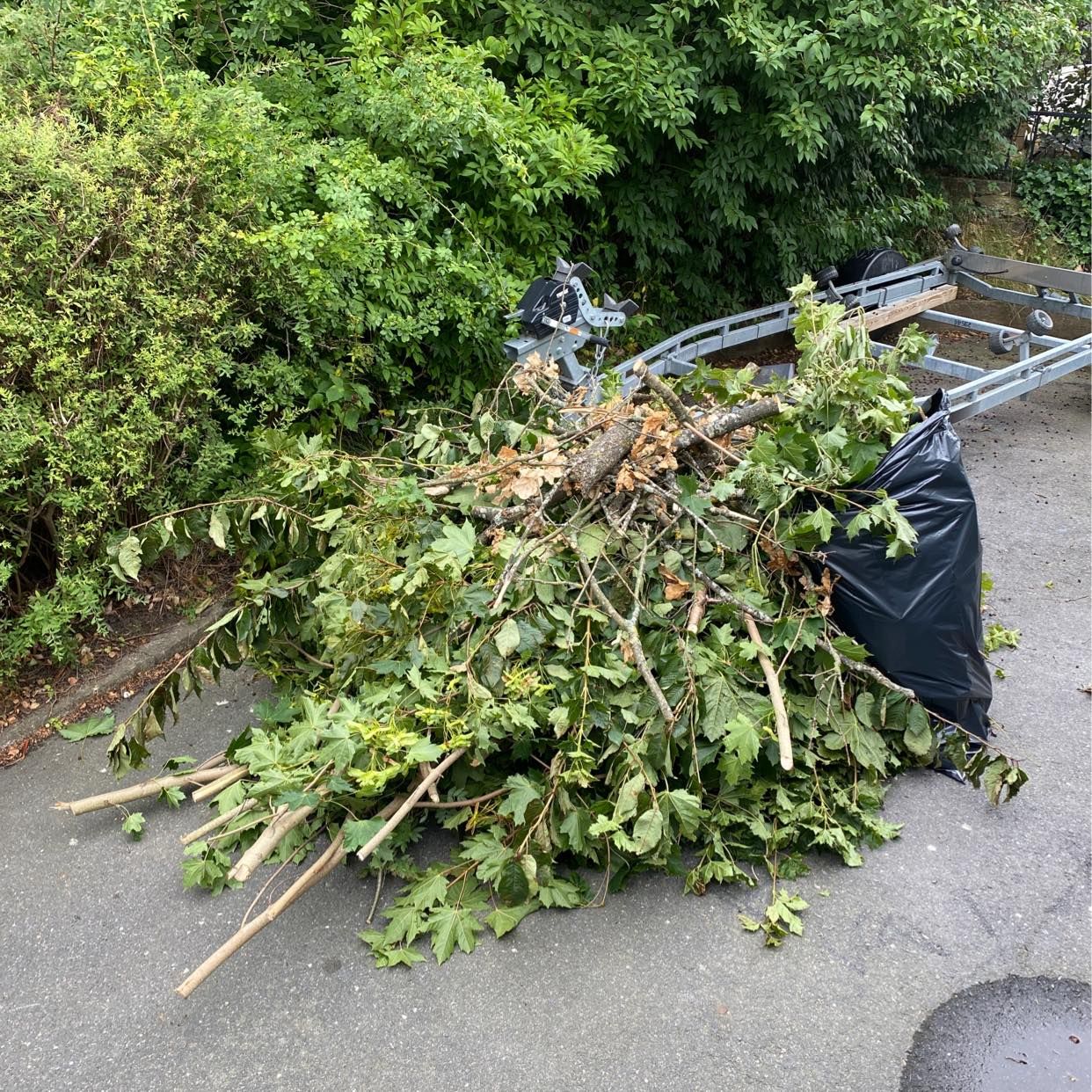 image of Trädgårdsavfall av grenar - Västra Frölunda