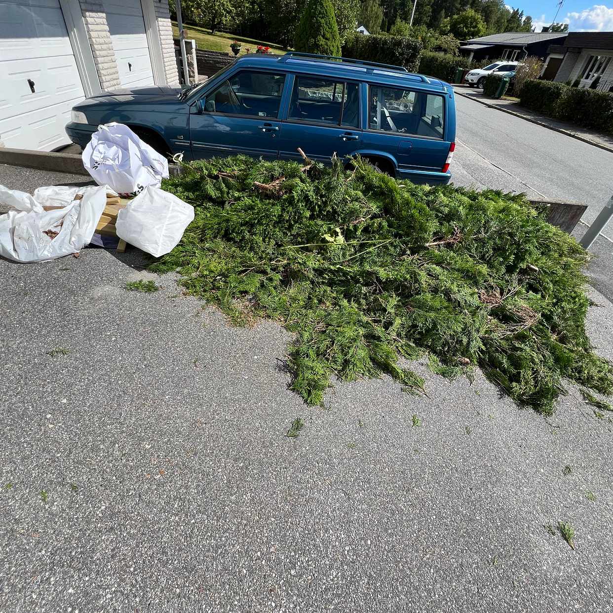 image of Klippt en häck av thujor - Järfälla