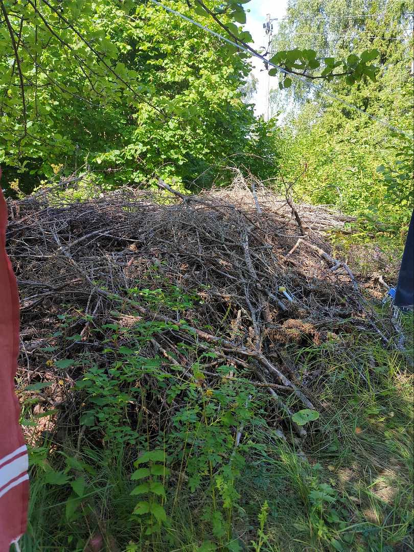 image of Sly, grenar och stockar - Grisslehamn