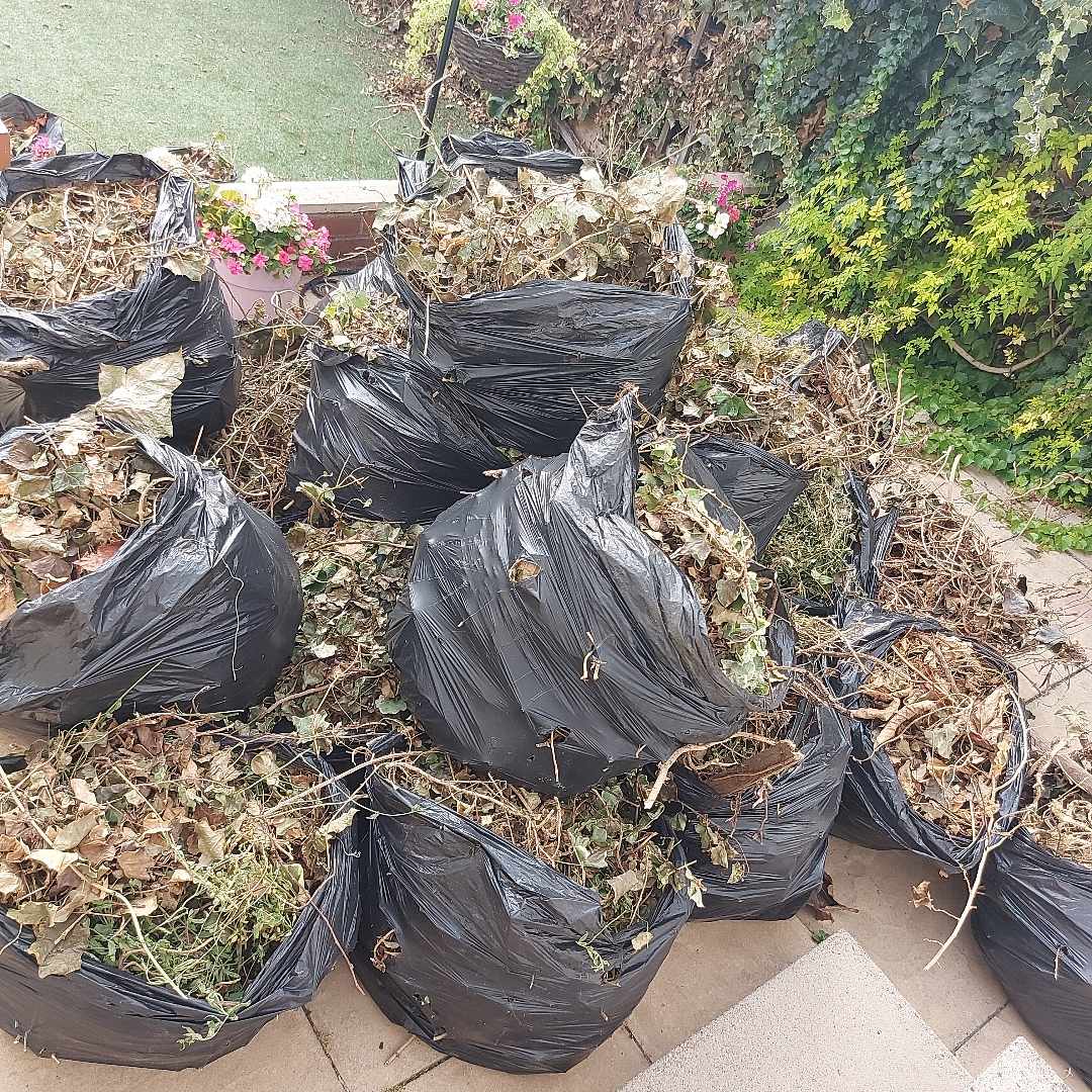 image of Garden waste - London