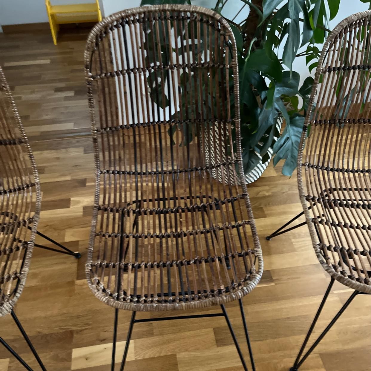 image of Dining chairs - Stockholm City