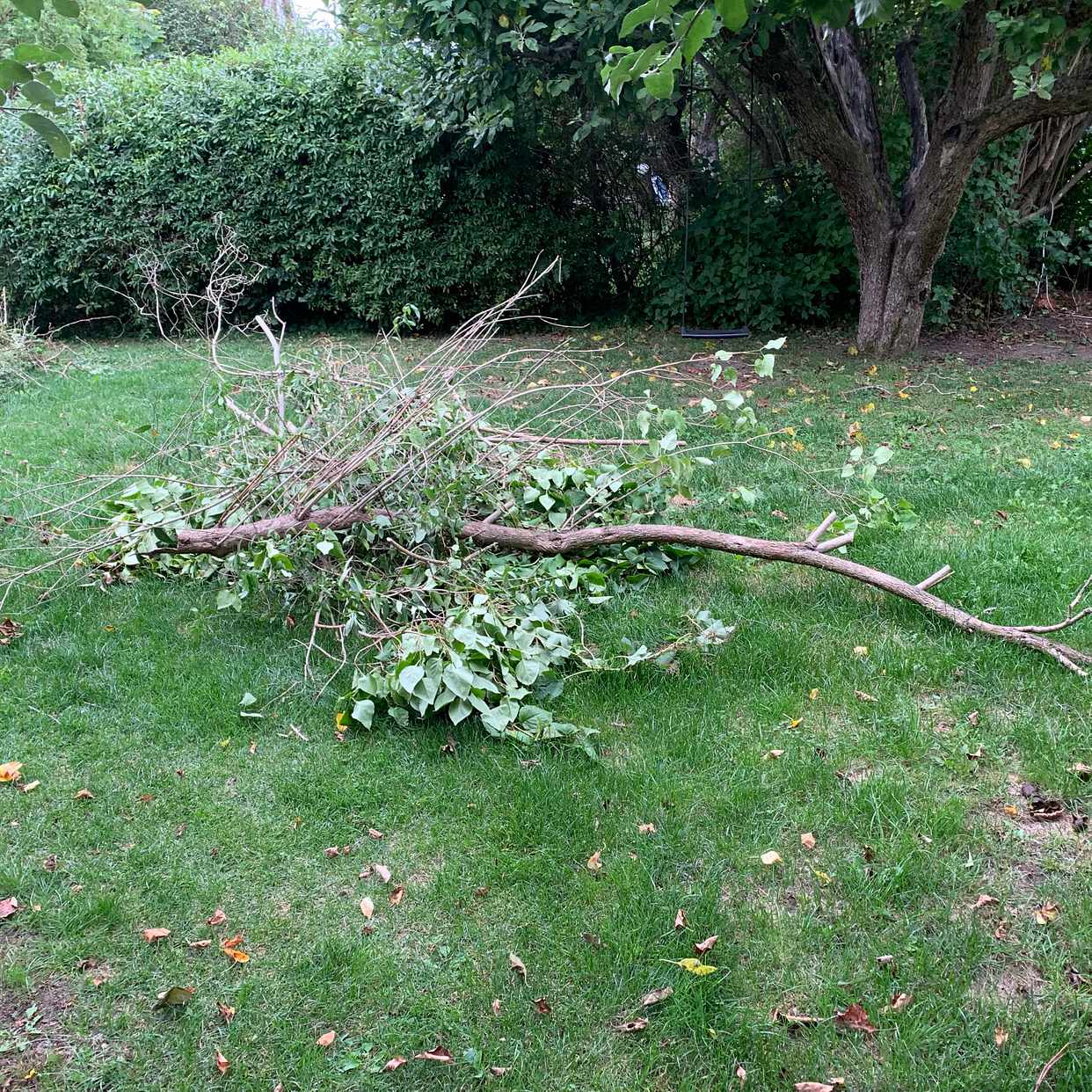 image of Remove garden waste - Bromma