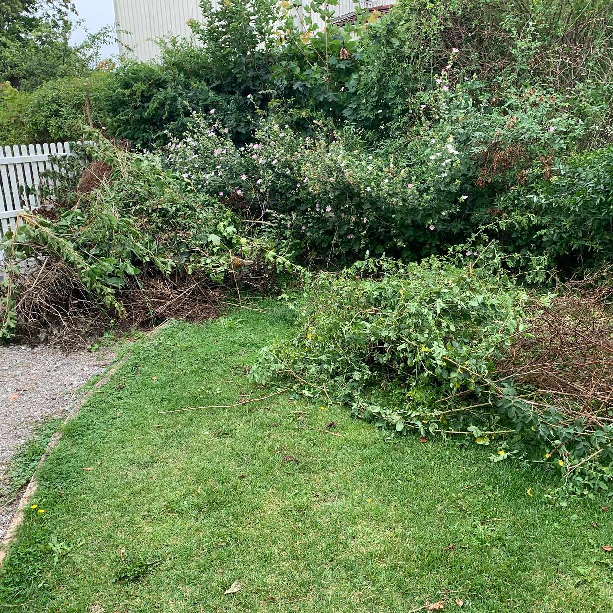 image of Remove garden waste - Bromma
