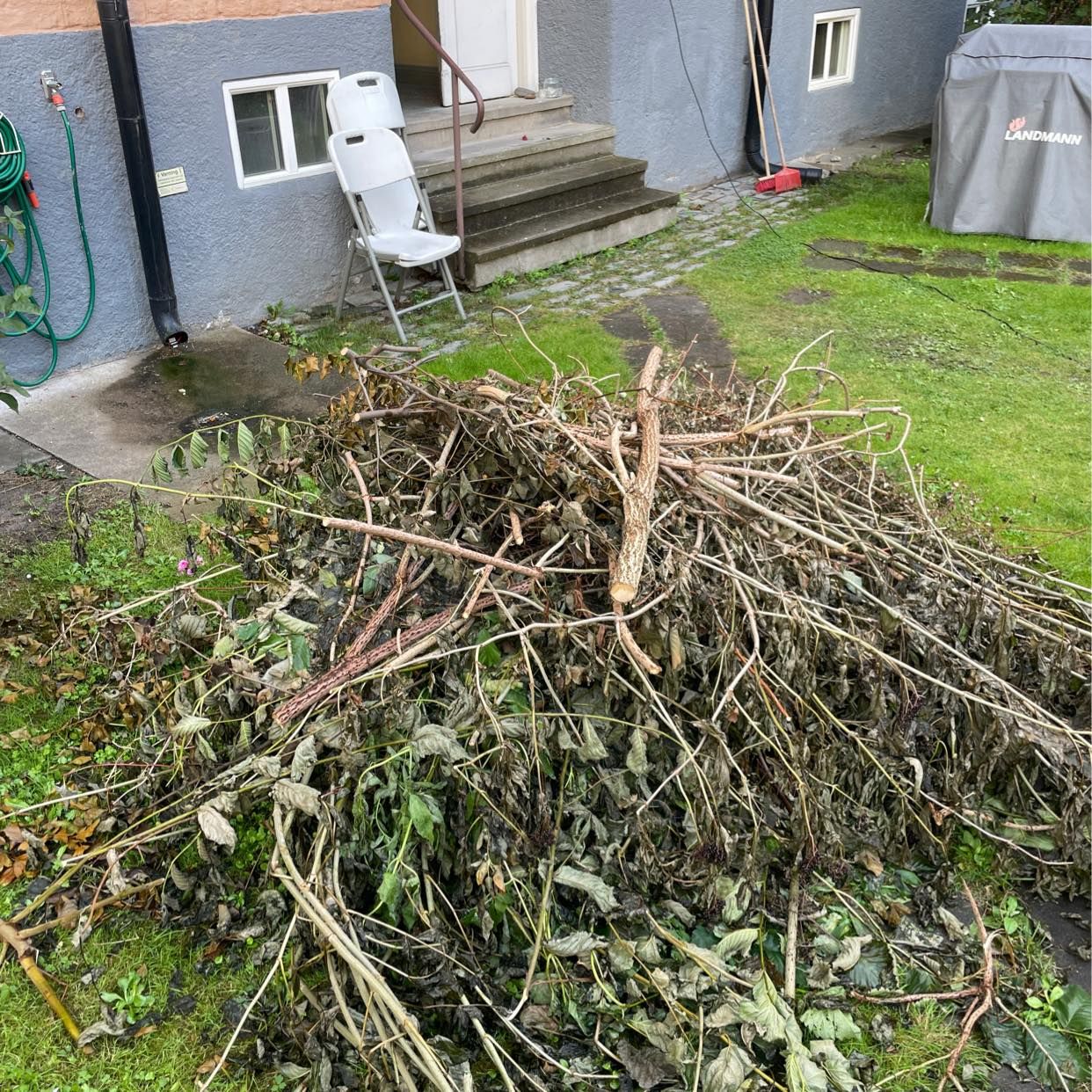 image of Grenar och kvistar - Stockholms Stad