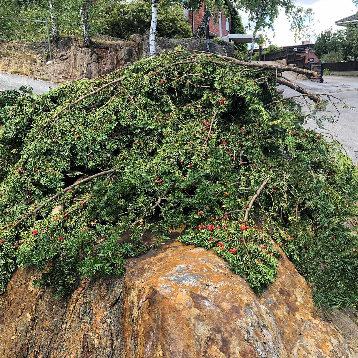 image of Köra till återvinning - Älvsjö