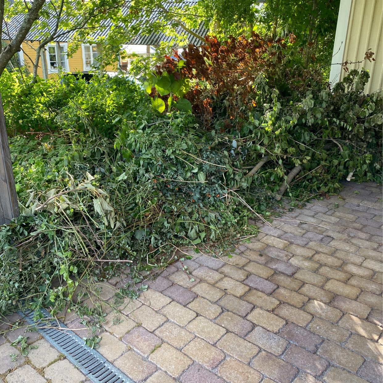 image of Bushes, trees etc - Ekerö