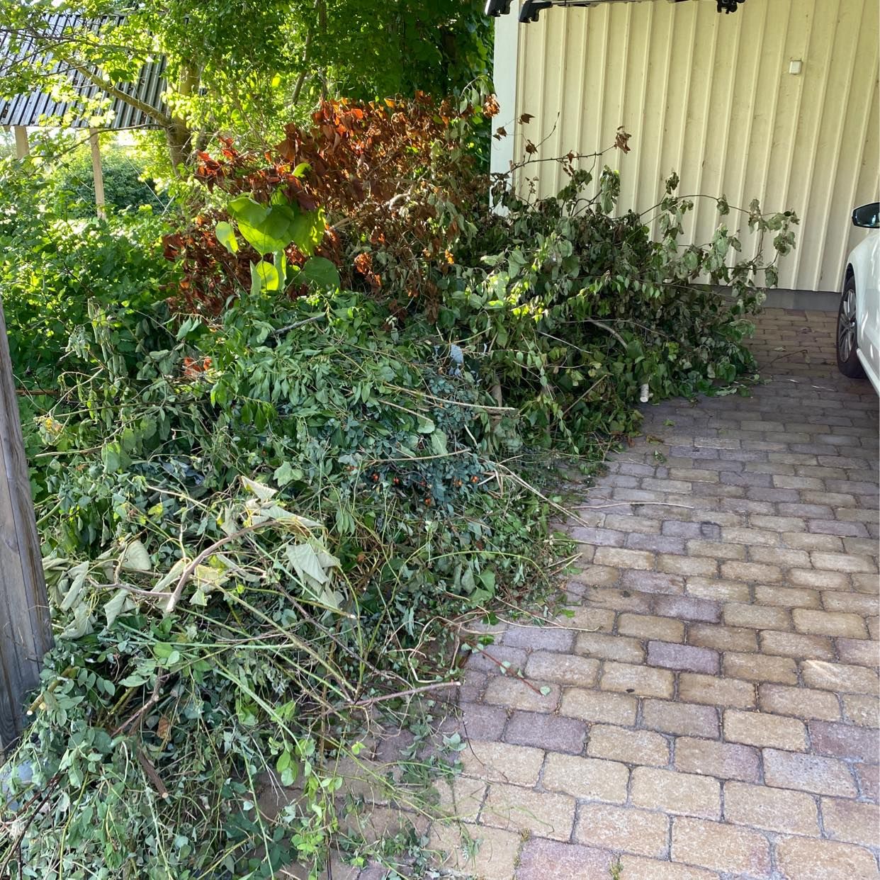 image of Bushes, trees etc - Ekerö