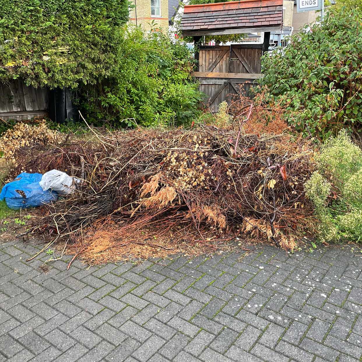 image of Remove garden waste - London