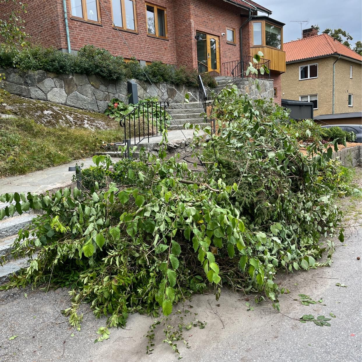 image of Återvinna trädgårdsavfall - Stocksund