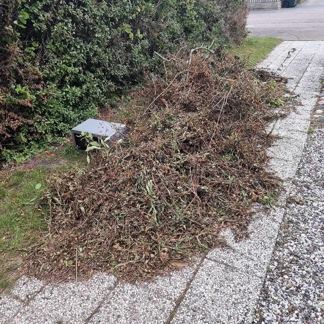 image of Trädgårdsavfall, micro - Höllviken