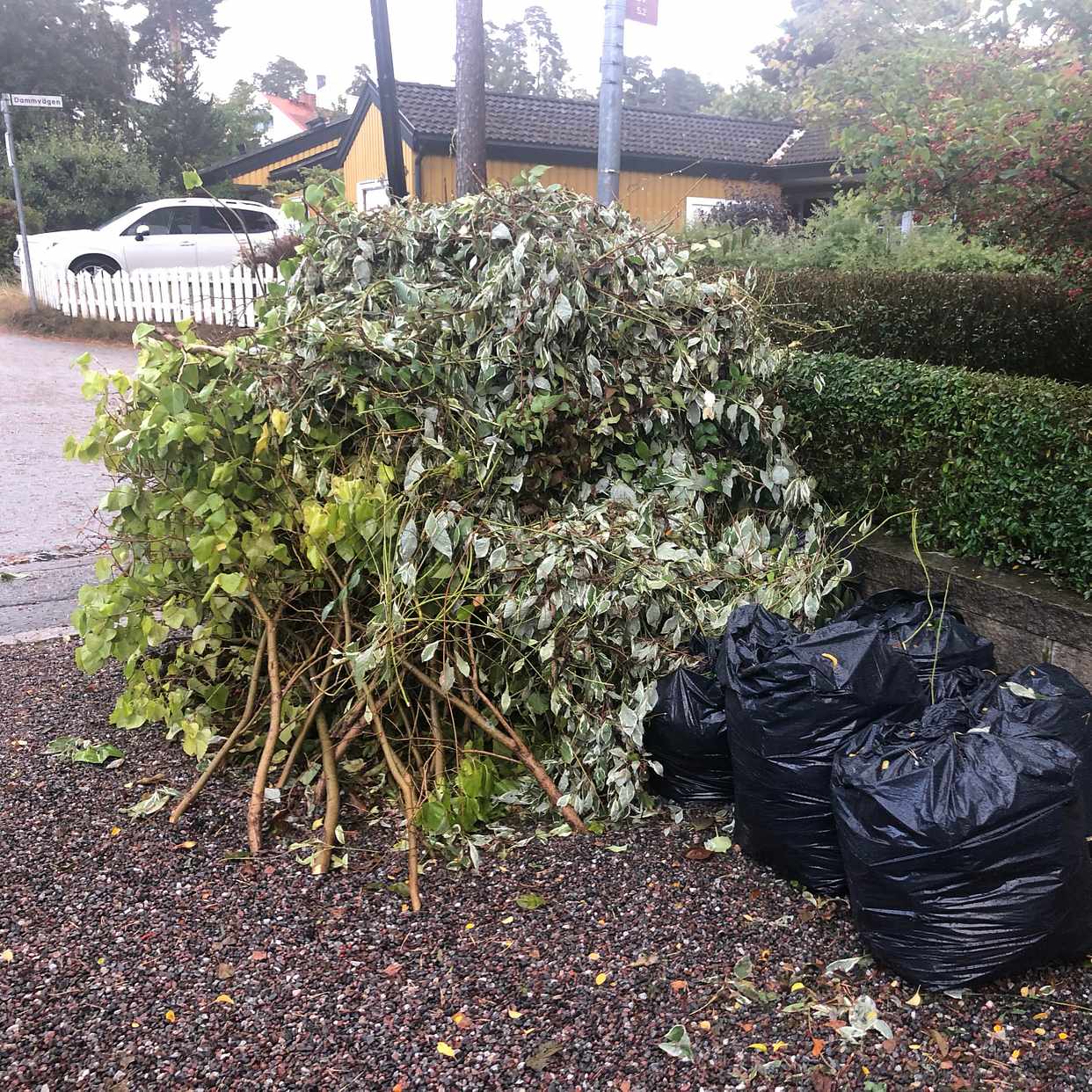 image of Garden waste - Sollentuna