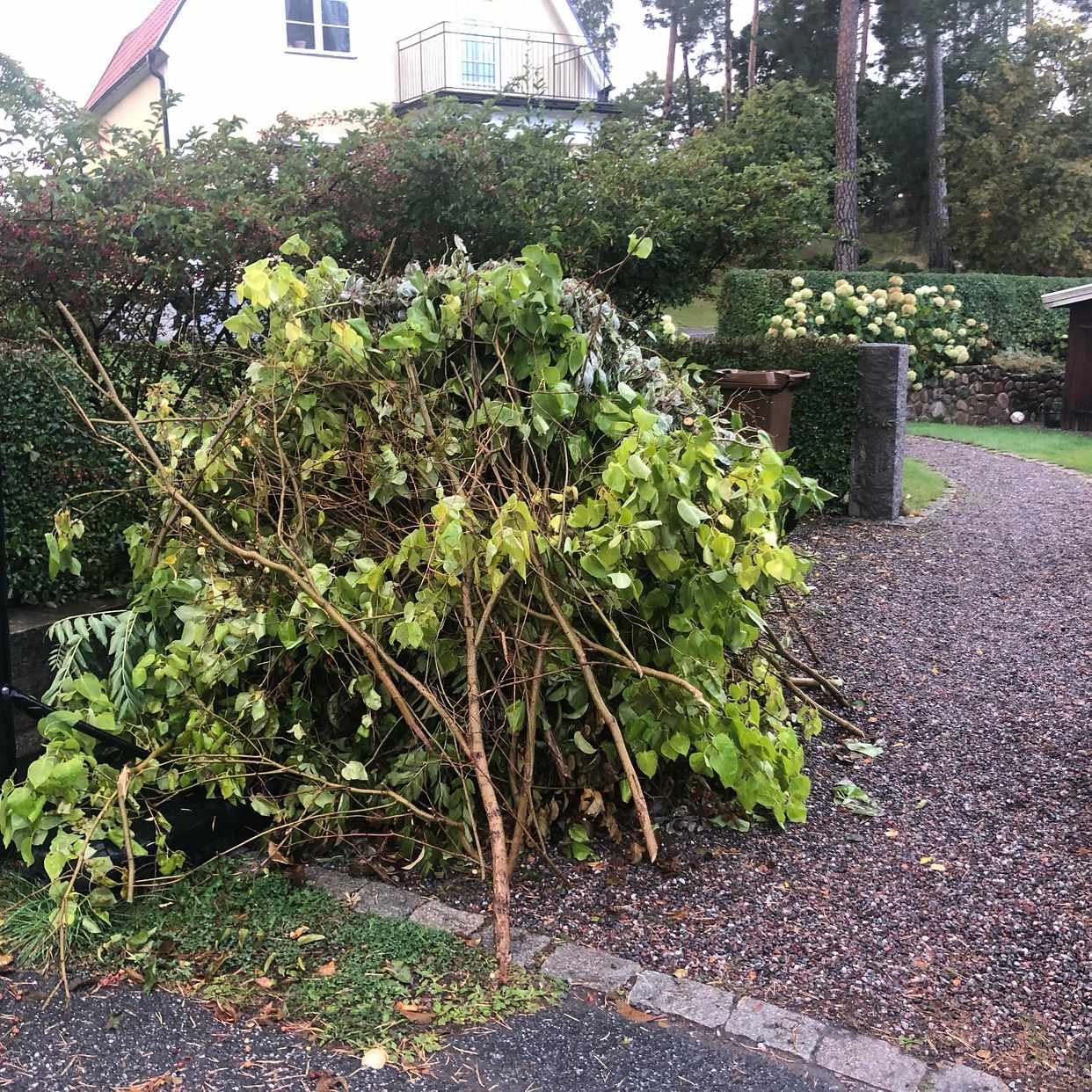 image of Garden waste - Sollentuna