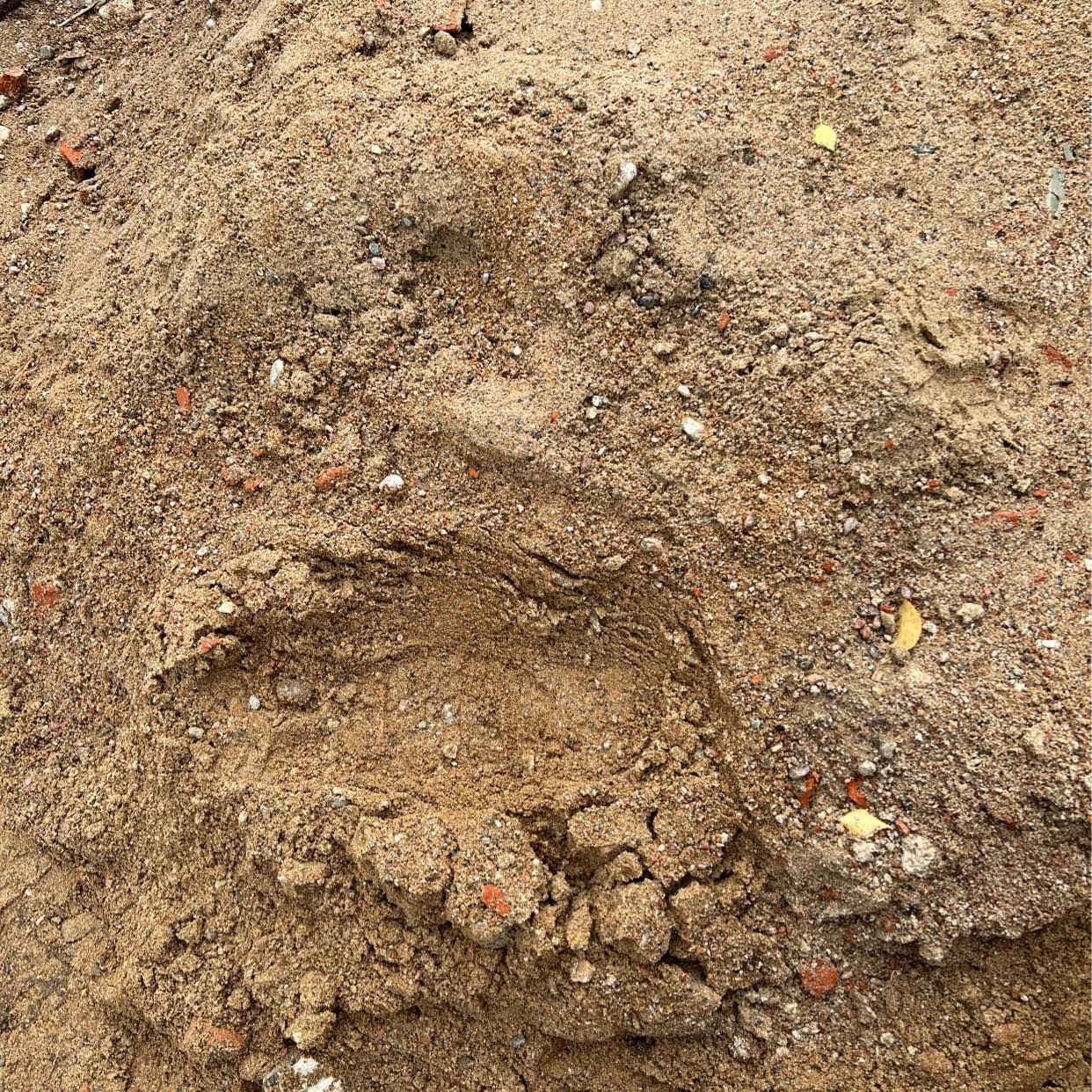 image of Soil bricks - Sollentuna