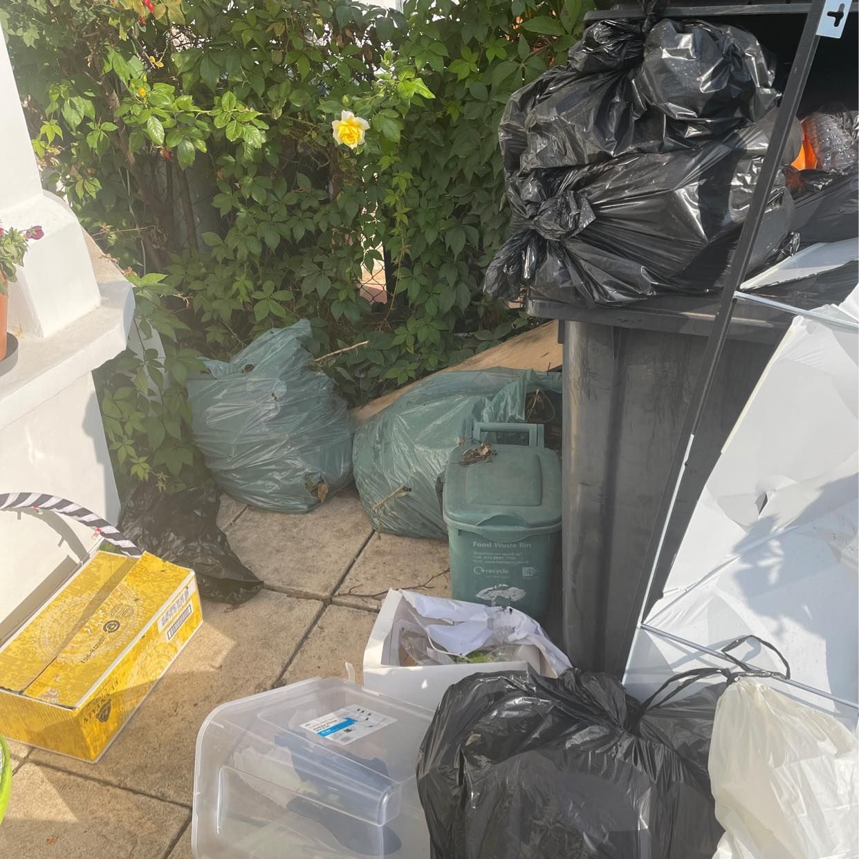 image of Removal: bin & waste - Haringey