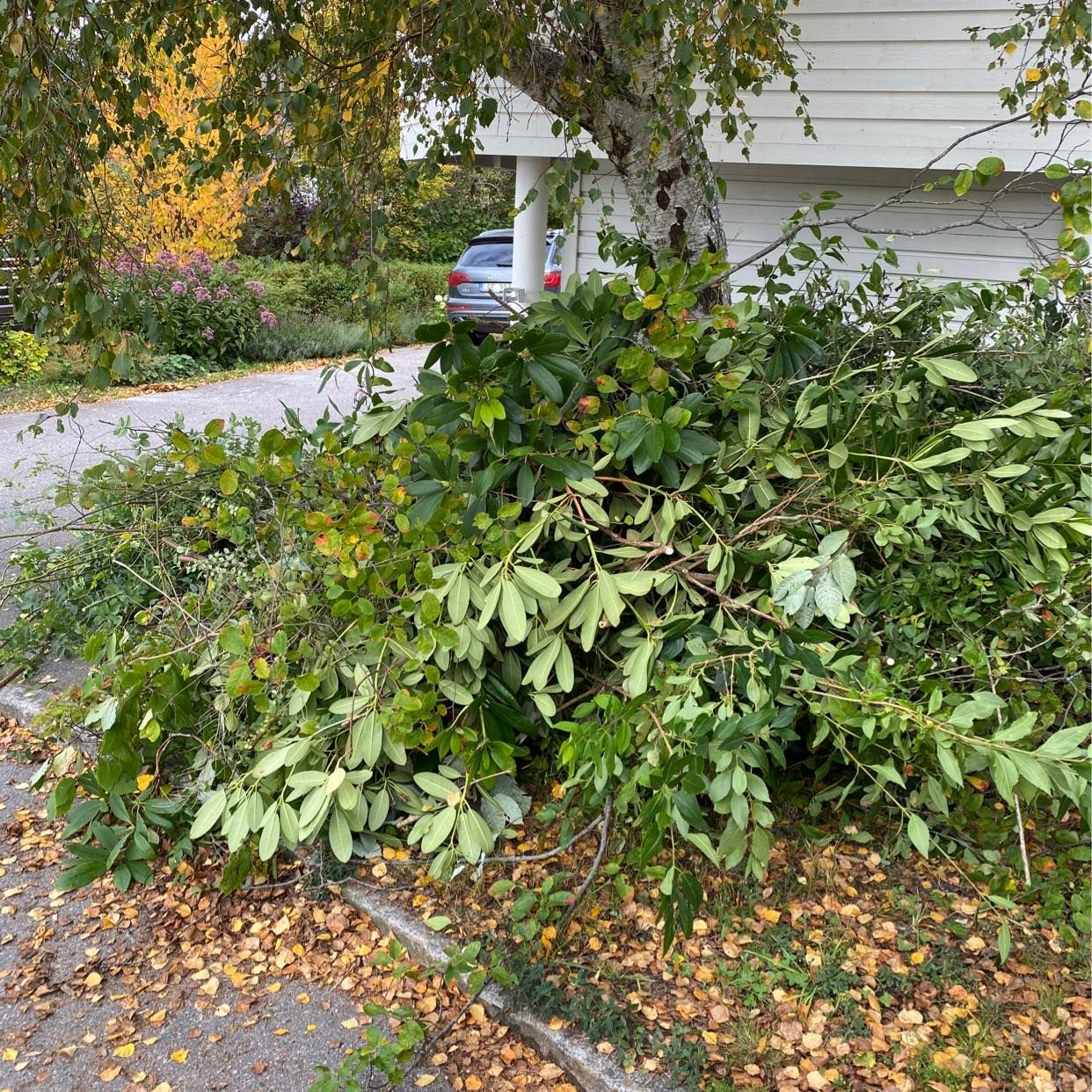 image of Trädgårdsavfall - Täby