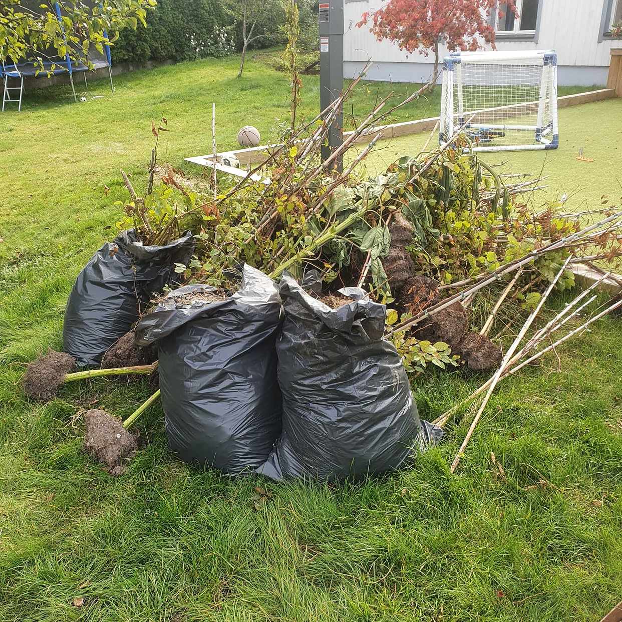 image of Hämta trädgårdsavfall m m - Älvsjö