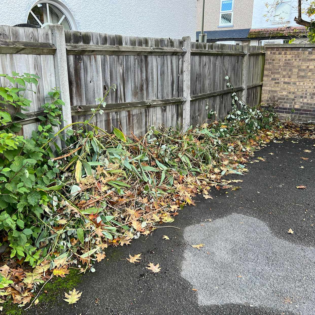 image of Garden waste - Staines Ward