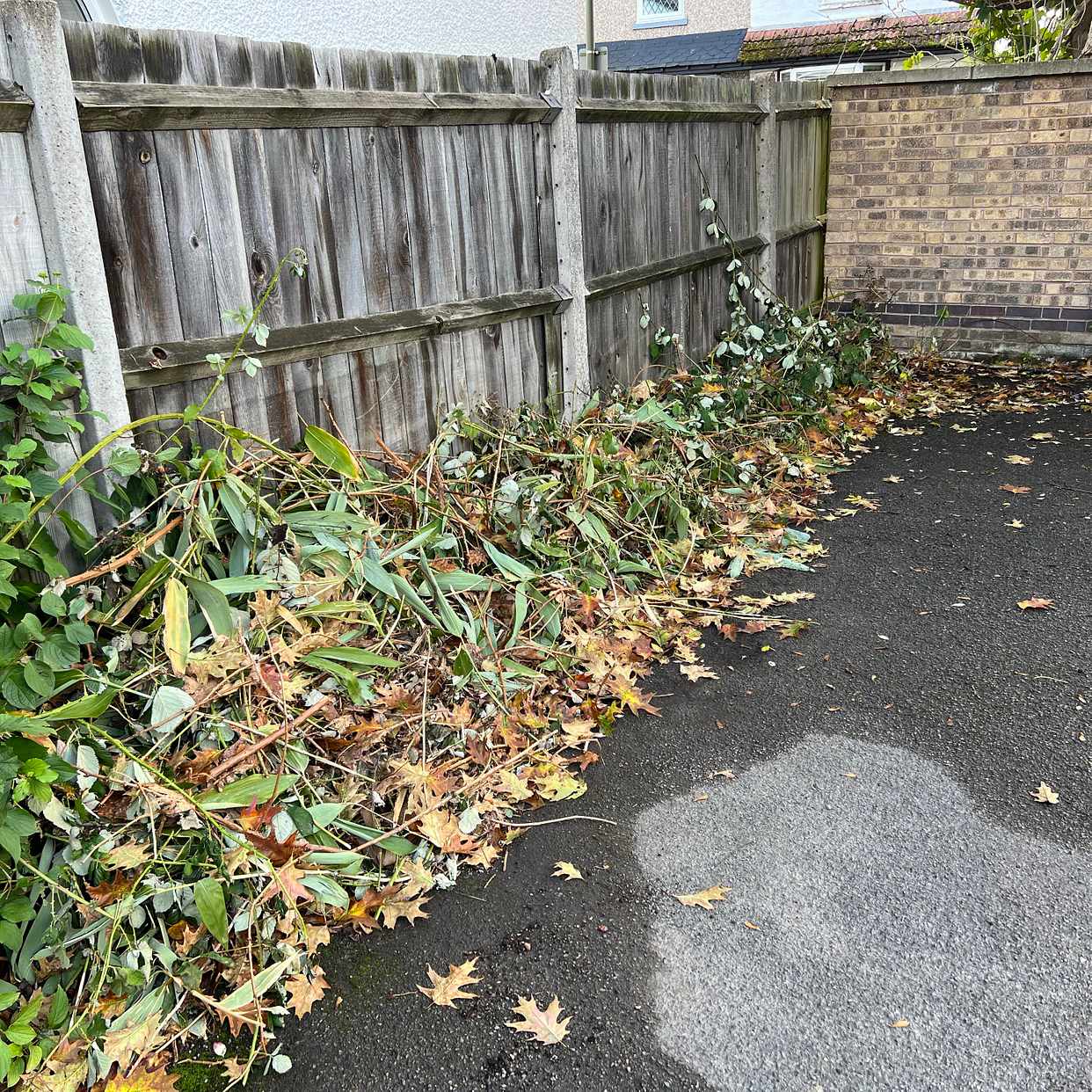 image of Garden waste - Staines Ward