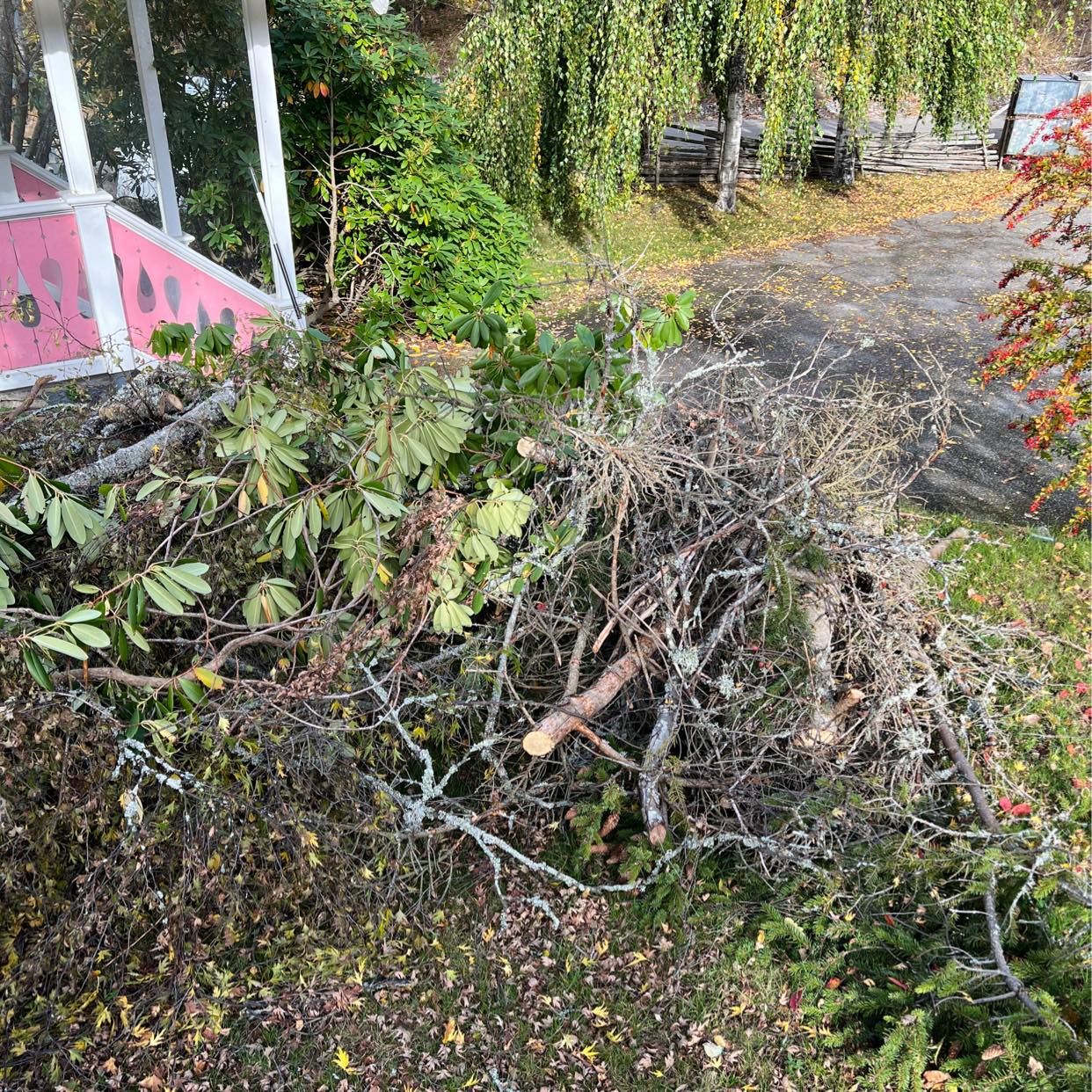 image of Grenar och ris - Saltsjö-Boo