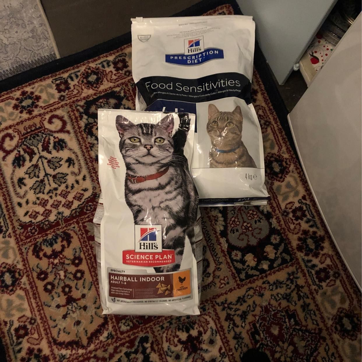 image of Kattmat precis gott ut - Bromma