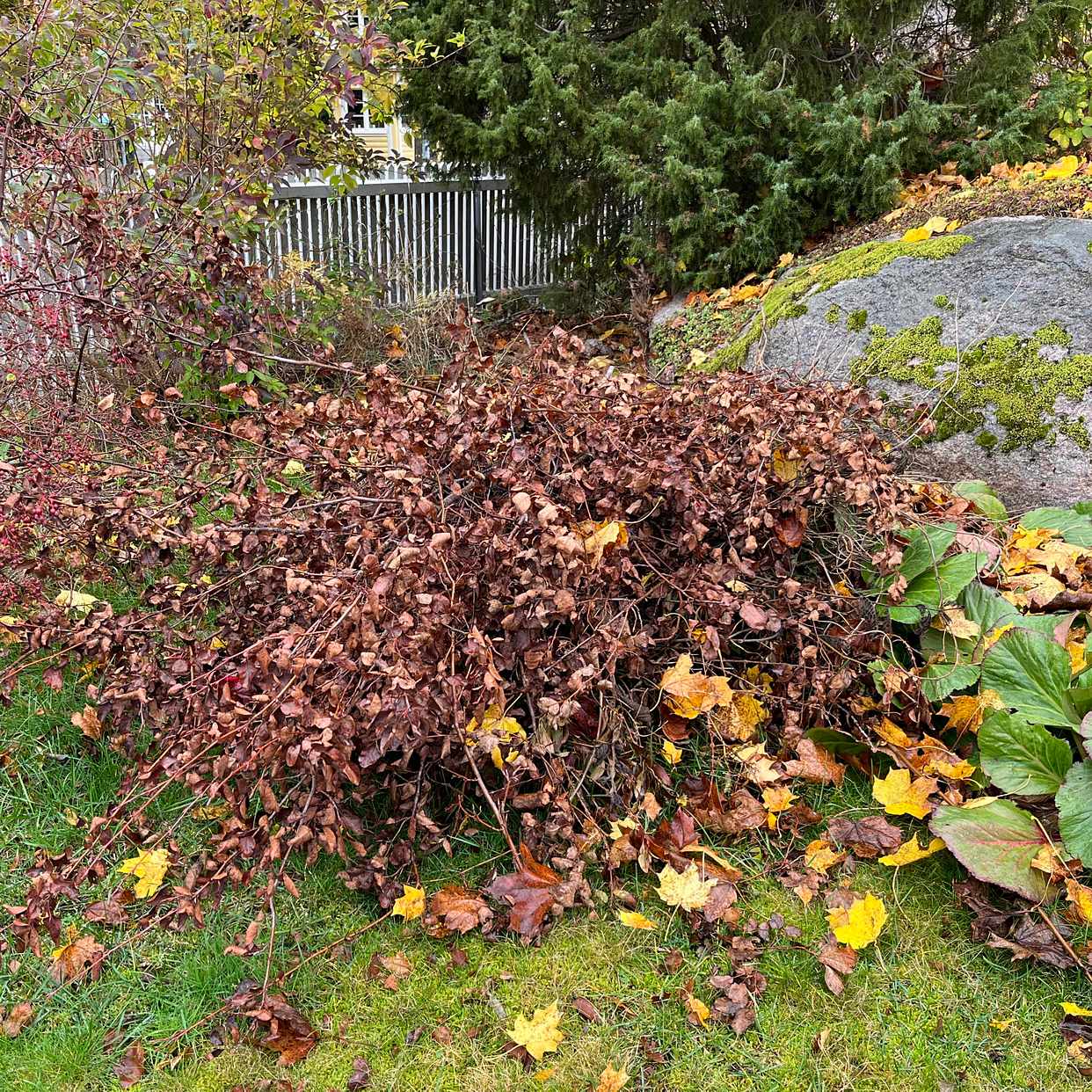 image of Trädgårdsavfall 3 högar - Sollentuna