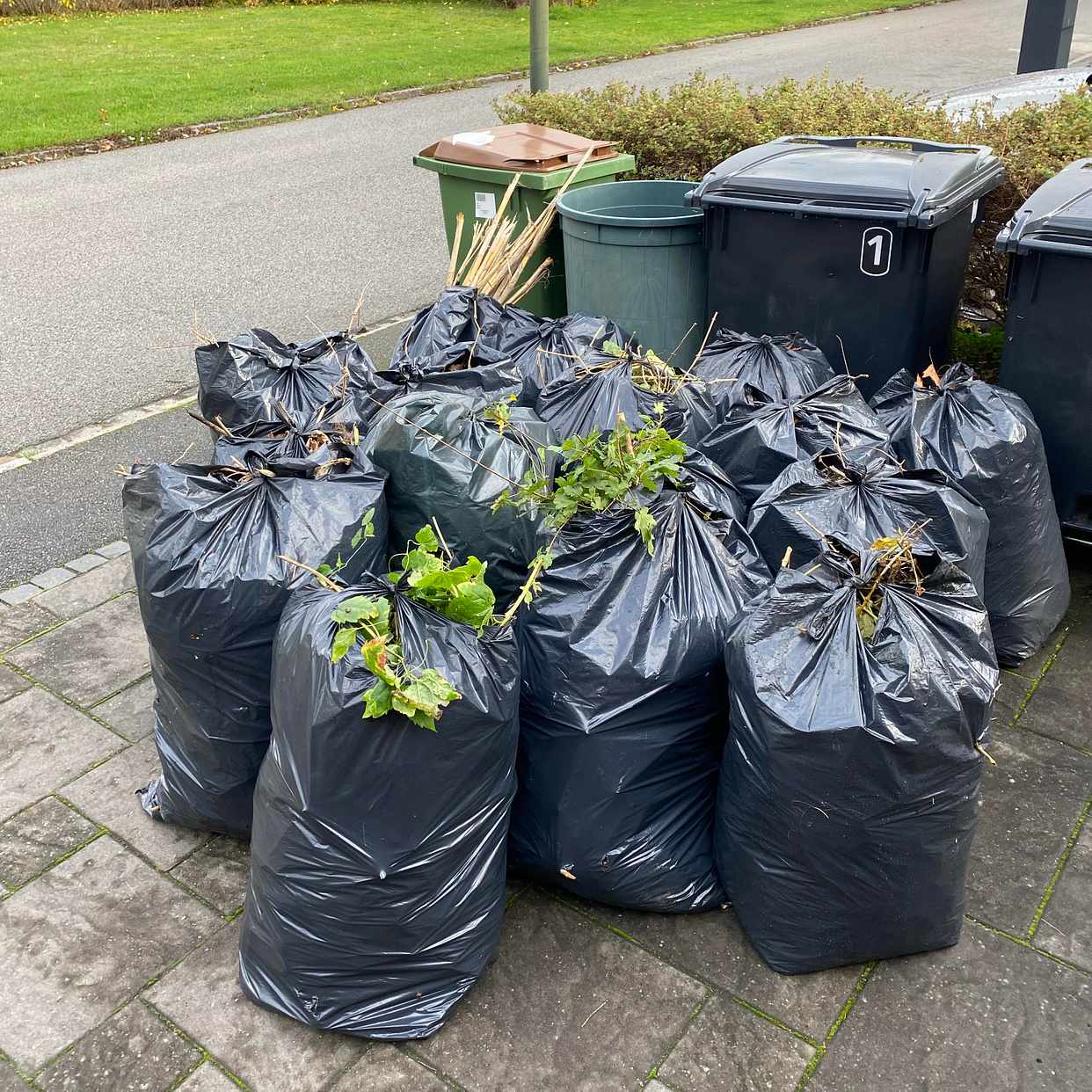image of Trädgårdsavfall - Malmö